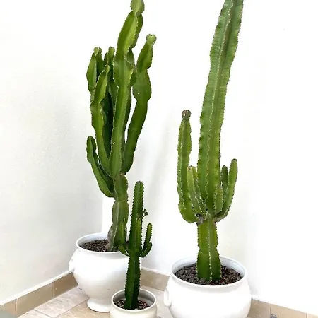 Casa Ricasoli By Manzoni Collection Apartment Monopoli